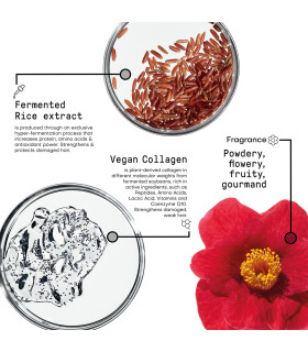 Morphosis Restructure Revitalizing Shampoo Step 1